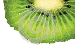 Kiwi Slice Cut Texture, Large Detailed Macro Closeup, Fresh Ripe Fruit Concept, Horizontal Copy Space