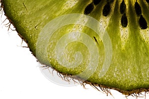 Kiwi slice - detail