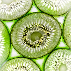 Kiwi star