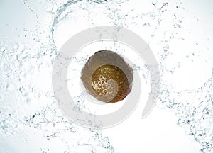 Kiwi Water Splash