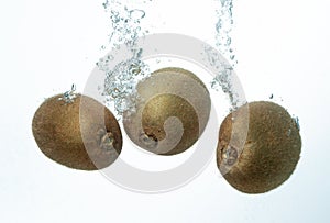 Kiwi Water Splash