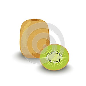 Kiwi whole and cut. Fresh fruits. Vector