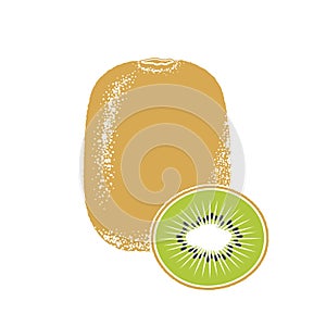 Kiwi whole and cut. Fresh fruits. Vector