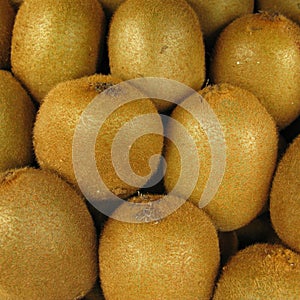 Kiwifruit