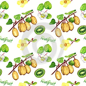 Kiwifruit branches with ripe fruits, male and female flowers, cut half with inscription, white background