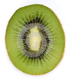 Kiwifruit slice photo