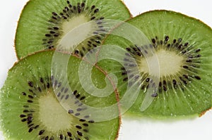 Kiwifruit slices photo