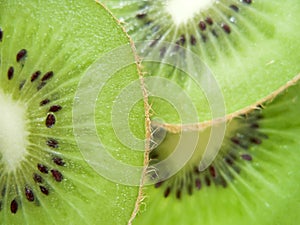 Kiwis
