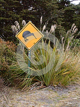 Kiwis Crossing Sign