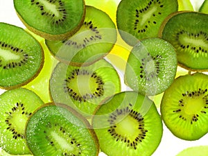 Kiwis on ice