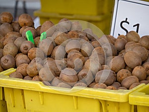 Kiwis for sale at farmer`s market