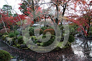 Kiyomizu-dera garden