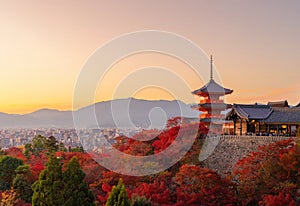 Kiyomizu Dera Pagoda Temple with red maple leaves or fall foliage in autumn season. Colorful trees, Kyoto, Japan. Nature and