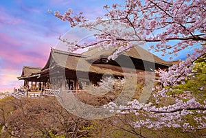 Kiyomizu-dera stage with cherry blossom