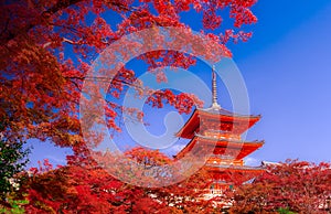 Kiyomizu-dera Temple in autumn , Kyoto, Japan