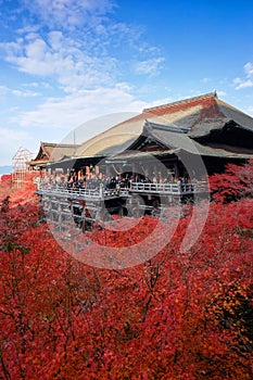 Kiyomizu-dera Temple with red leaves in foreground