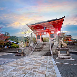 Kiyomizu-dera temple sunrise during full bloom cherry blossom in Kyoto, Japan