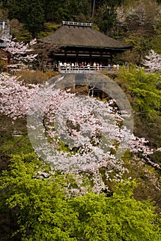 Kiyomizu Shrine in Kyoto, Japan