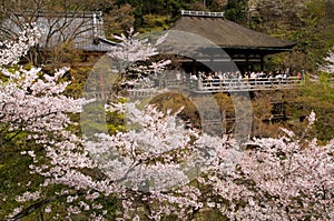 Kiyomizu Shrine in Kyoto, Japan