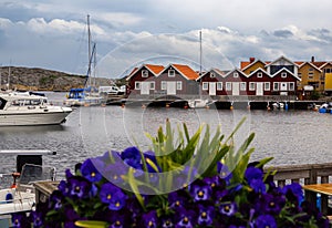 Kladesholmen on the Insel of Tjorn