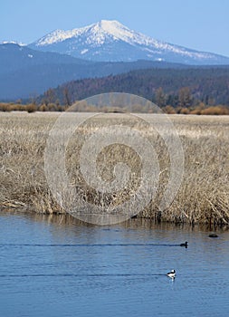 Klamath Basin Wetlands Mountain Scenery