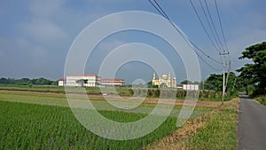 KLATEN CENTRALKLATEN CENTRAL JAVA INDONESIA The scenery in the countryside looks beautiful in the morning against the backdrop