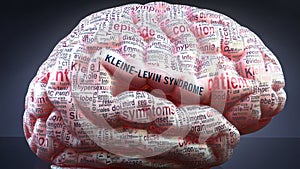 Kleine levin syndrome and a human brain