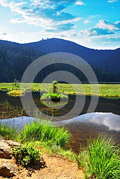 Kleiner Arbersee lake in the National park Bayerische Wald, Bavaria. photo