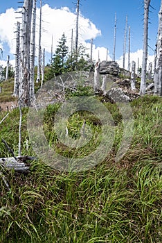 Kleiner Rachel hill in Bavarian Forest mountains in Germany photo