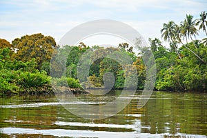 Klias River in Sabah, Malaysia