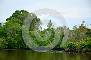 Klias River in Sabah, Malaysia