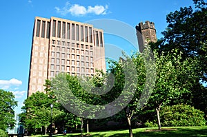 Kline Biology Tower and sloane physical lab