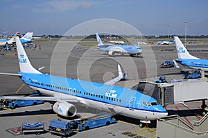 KLM planes at Schiphol