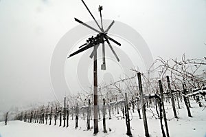 Klopotec scarecrow in austrian vineyard in winter