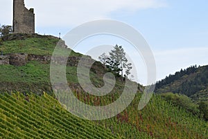 Klotten, Germany - 10 21 2020: Vineyards between villagen and castle photo