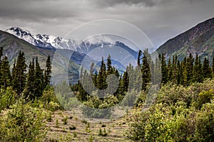 Kluane Lake area Yukon Territory Canada
