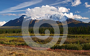 Kluane national park