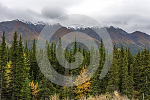 Kluane National Park and Reserve