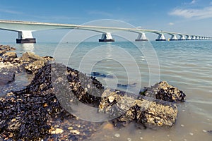 5 Km long Zeelandbrug, Zeeland, Netherlands