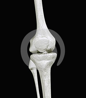 Knee Bones