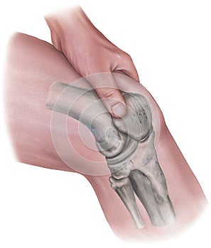 Knee - Hand Pressing on Muscles & Bones photo