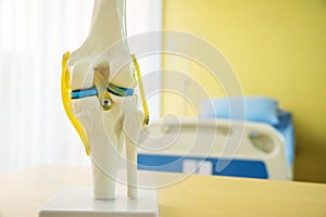 knee joint anatomy model for medical teaching before they are used to describe the patient