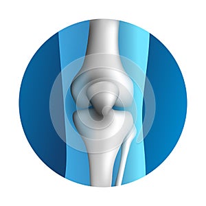 Knee synovial joint 3D icon photo