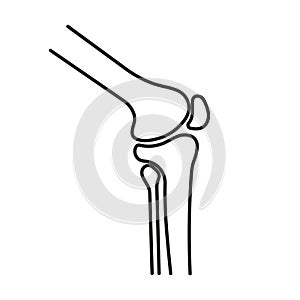 Knee joint icon in linear style. Vector.
