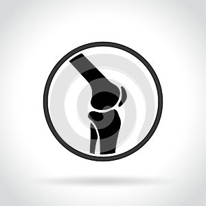 Knee joint icon on white background