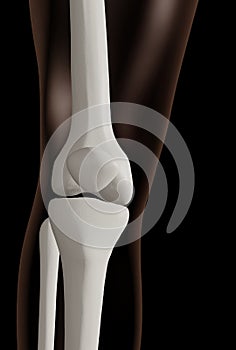 Knee joint over black, 3d render photo