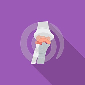 Knee-joint single icon.