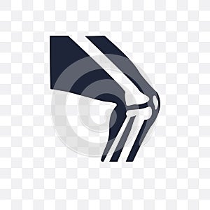 Kneecap transparent icon. Kneecap symbol design from Human Body