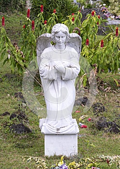Kneeling angel statue in the cemetery of Saint Benedict`s Painted Church on the Big Island, Hawaii.