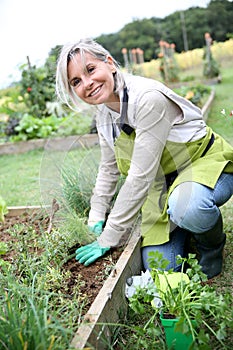 Arrodillado una mujer jardinería 